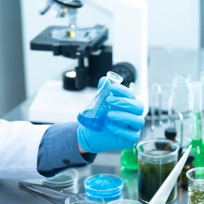 Membrane Electrode Assemblies: Specs Buyers Should Request