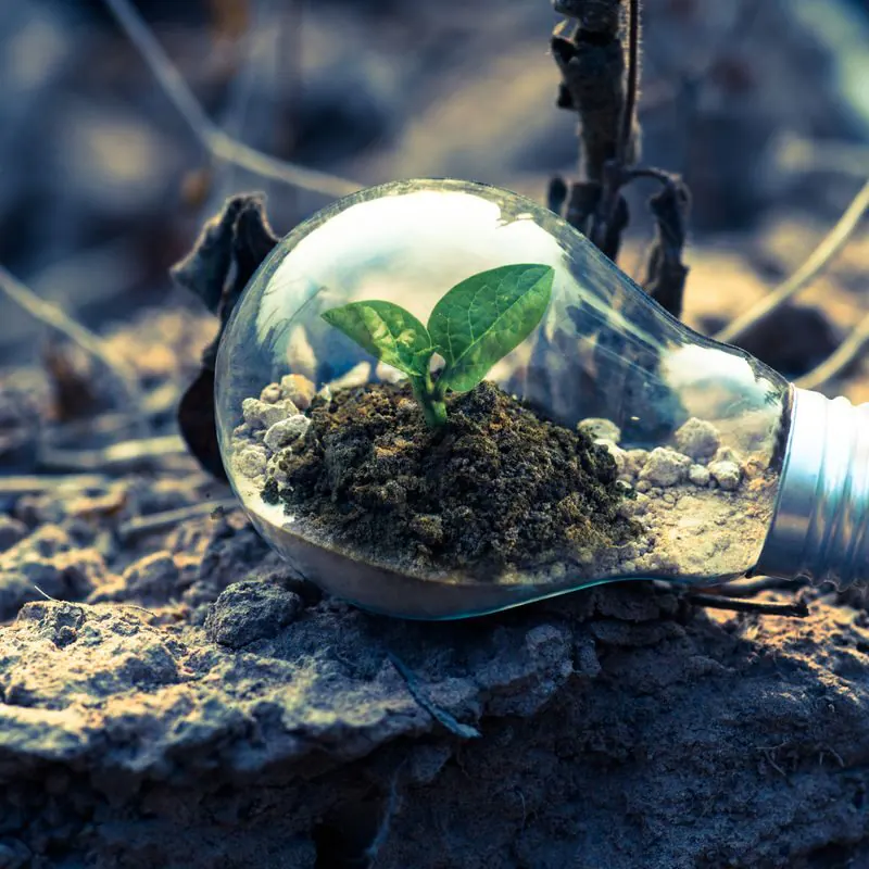 What Makes an Electrolyser Truly Green: Materials and Circularity